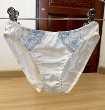 Vintage Light Silky Polyester Panty Hi Cut Sissy Bikini Sz.5 Sheer Lace Briefs
