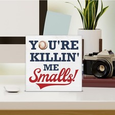 Funny Baseball Sign Baseball Wood Box Sign Baseball Player Lover Fans Home Shelf