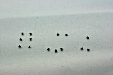 Original Complete Screw Set for Apple iPod Classic 6th 7th Gen A1238 Screws