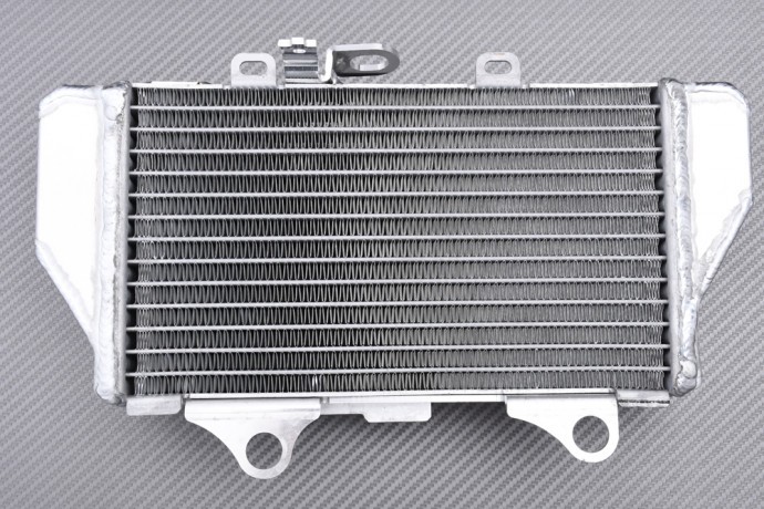 Radiateur eau gauche HONDA CRF 1100 L AFRICA TWIN pour les pistes du désert et voyages