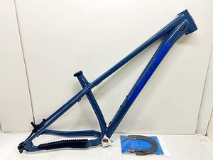 Santa Cruz Chameleon | eBay