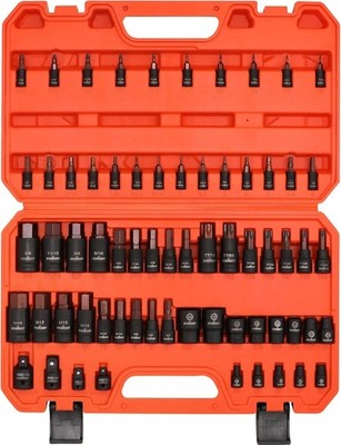 66-Piece Allen Socket Set - Torx Bit Socket and Female External Socket Set, S...