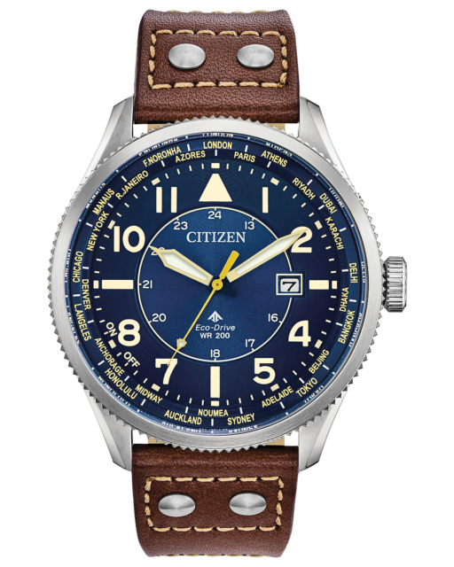 Citizen Eco-Drive Promaster Nighthawk 