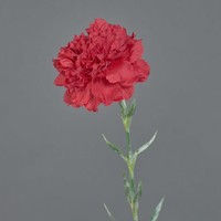 Artplants KüNstliche Nelke Nirusha, Rot, 65Cm