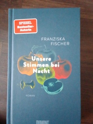 Franziska Fischer - Unsere Stimmen bei Nacht: Roman