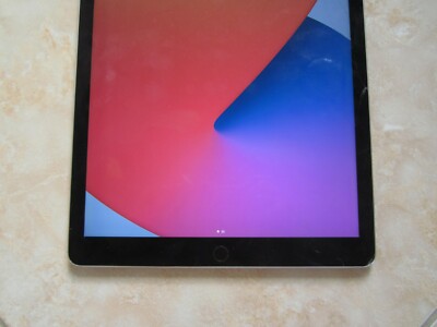 Apple iPad Pro A1584 1stGen 256GB 12.9