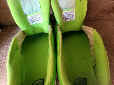 Reebok pro legacy kool aid green lemon lime leather sneakers