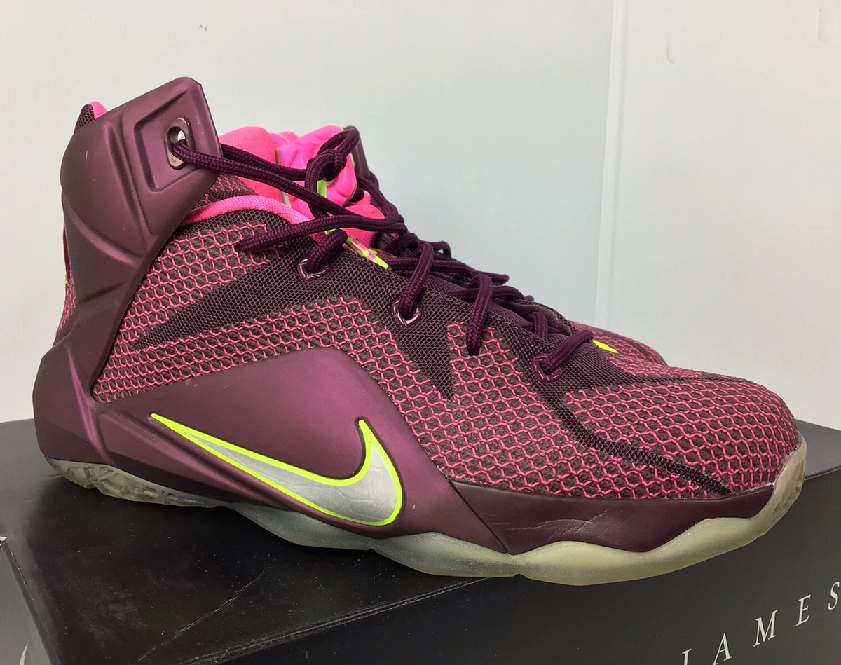 Boys 2025 lebron 12