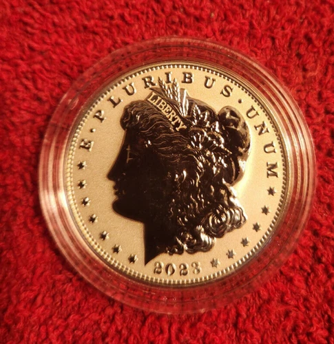 2023 s reverse proof Morgan dollar in original capsule