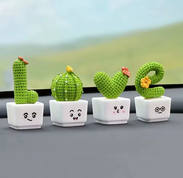 Mini Kaktus online kaufen | eBay.de