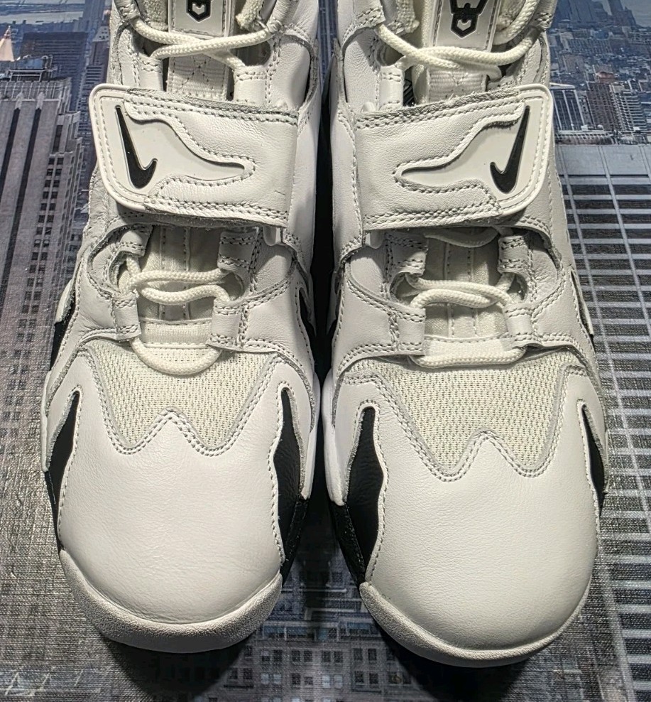 Nike Air DT Max  display picture 3