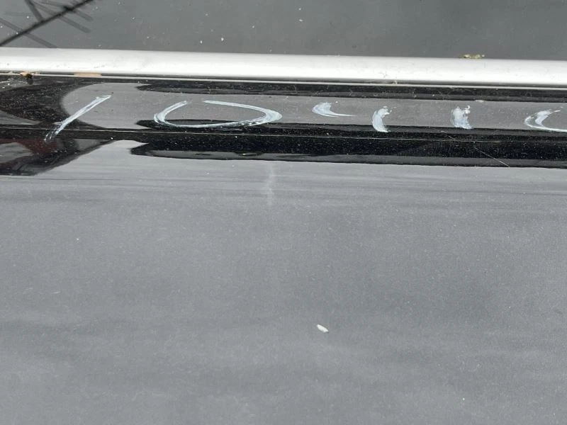 BMW X1 2016-2022 puerta trasera derecha del lado del pasajero negra Foto 3 de 4