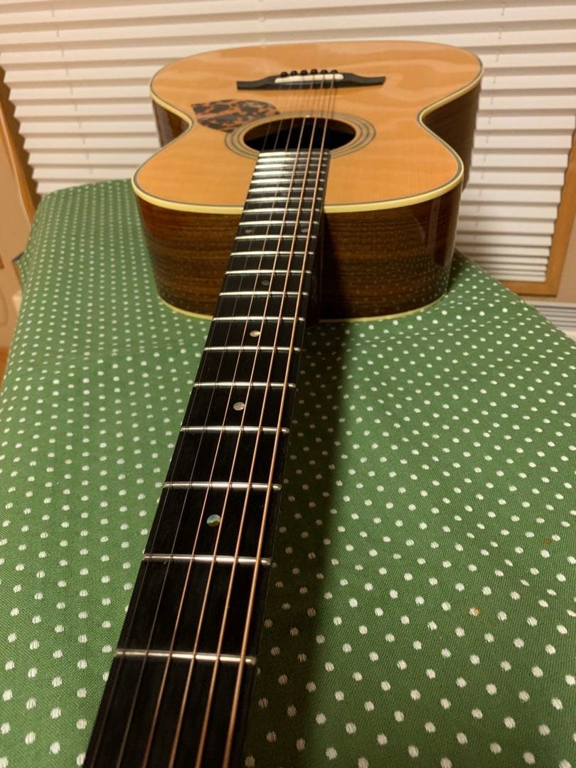 Gary E. Levinson LS-43 Acoustic Guitar | eBay