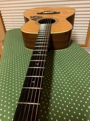 Gary E. Levinson LS-43 Acoustic Guitar | eBay