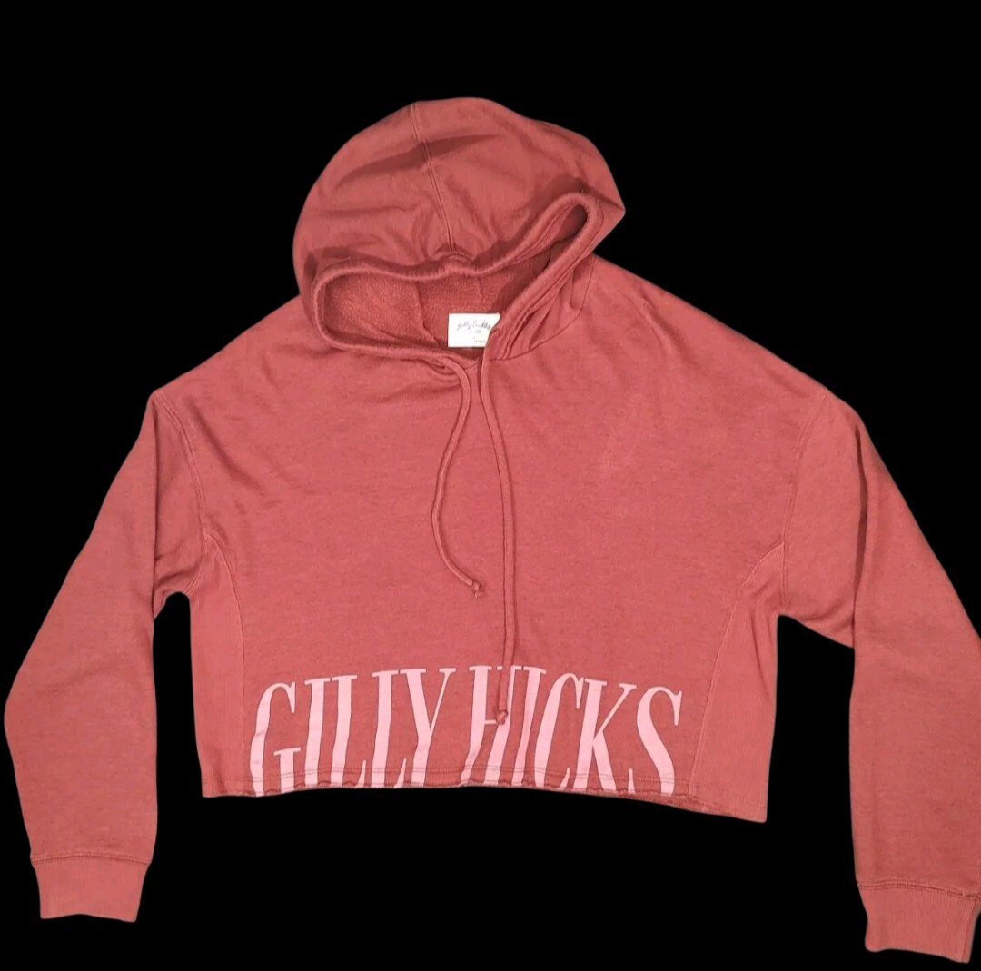 Hoodie Hollister Buzos Buzo Hollister Hollister Hoodie Rosa