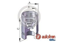 Autofren Seinsa D025522 Kolben, Bremssattel Hinterachse FÜR Mazda