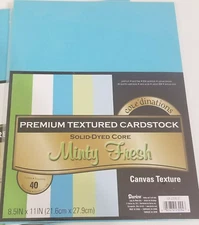NEW 1 Pkg Core'dinations Textured Cardstock Minty Fresh Blue Green 8.5 X 11"  40