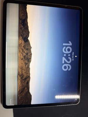 Apple iPad Air M3 13 Zoll 256GB Gold WIFI ohne Originalverpackung