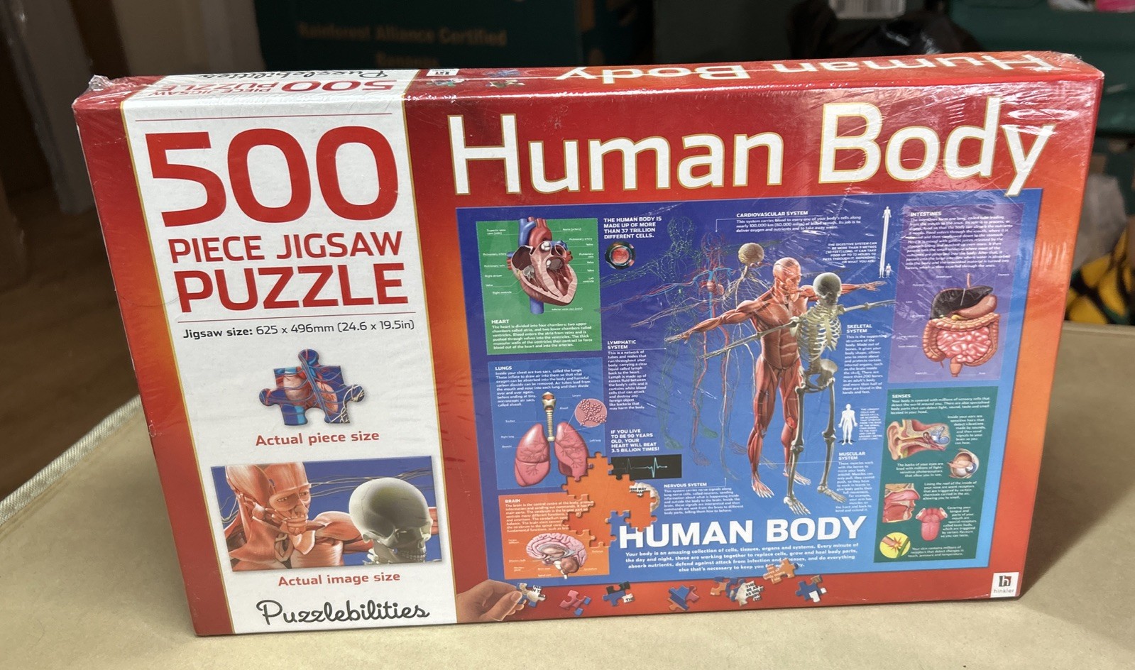 New Human Body Jigsaw Puzzlebilities 500 Piece Jigsaw Puzzle By Hinkler