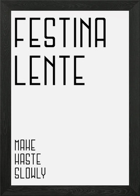 Make Haste Slowly Gerahmtes Wandbild Poster Leinwanddruck Bild