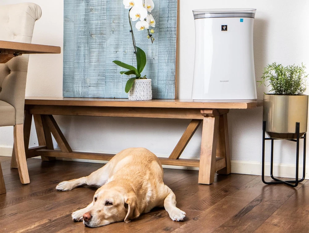 Air Purifier with Plasmacluster Ion Technology for Medium-Sized Rooms, Bedroom, Air Purifier with Plasmacluster Ion Technology for Medium-Sized Rooms, Bedroom,