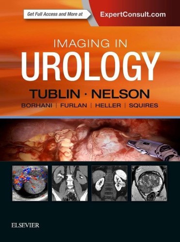 Imaging in Urology [Hardback]