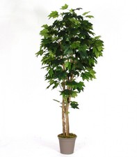 artplants Kunstbaum Ahorn SLAWA, Naturstämme, grün, 200cm