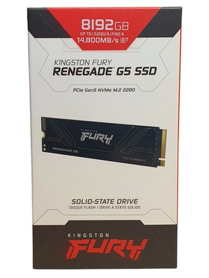 Kingston Fury Renegade G5 SSD 8TB Gaming Festplatte Schwarz