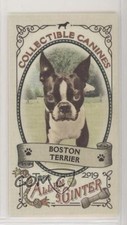 2019 Topps Allen & Ginter Collectable Canines Minis Boston Terrier #CC-24 0b3