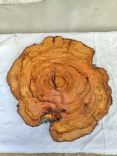 Olive Wood Live Edge Slab for Epoxy Table Craft