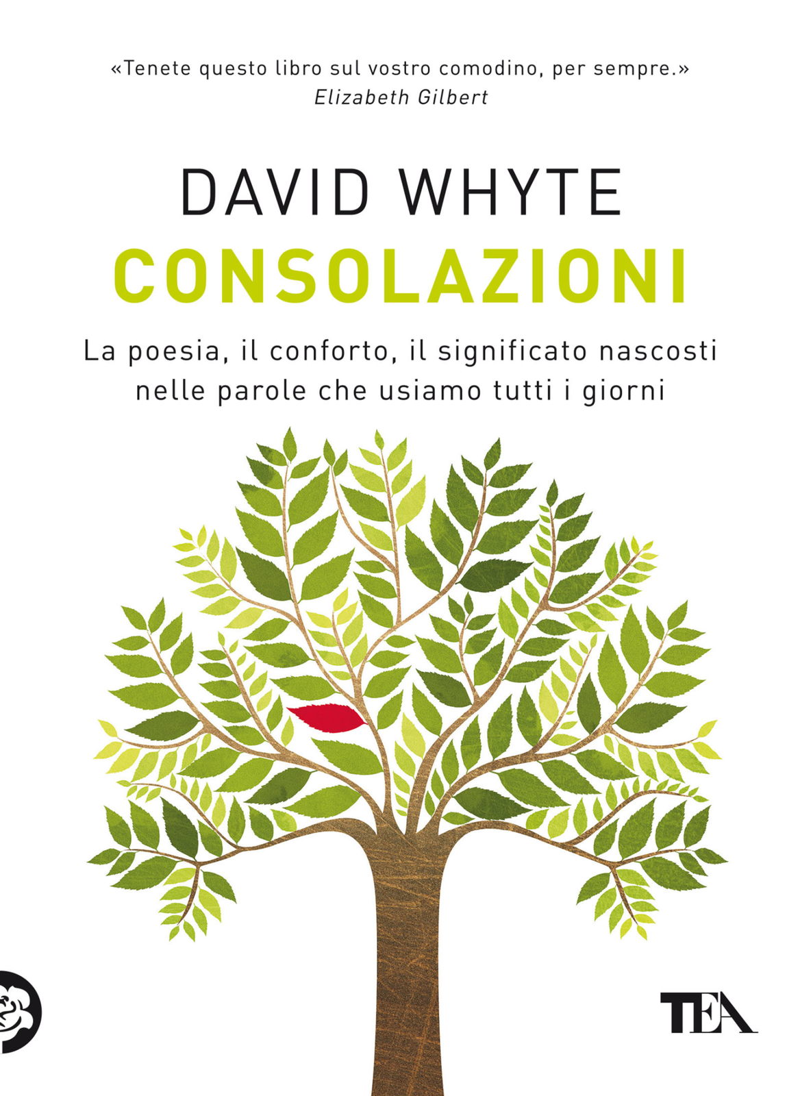 Libri David Whyte - Consolazioni. La Poesia, Il Conforto, Il Significato Nascost