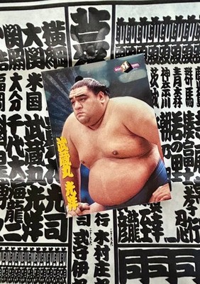 VTG 1997 Musashimaru S-4 Foil Card BBM Special w/ Sumo Banzuke 1998 Akebono