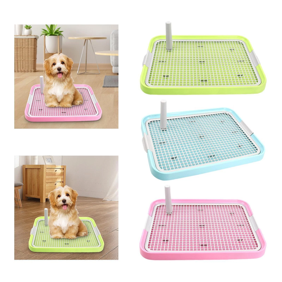 Dog potty box 2025