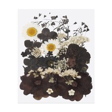30 St&uuml;ck getrocknete Pressbl&auml;tter f&uuml;r Resin, Schwarz Wei&szlig;