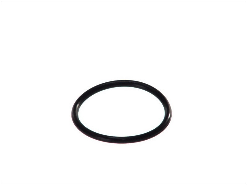 Fits HANS PRIES HP100 618 Thermostat gasket HP100 618 Coolant thermos ⭐UK Stock⭐