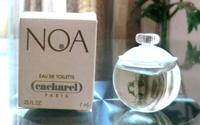 NOA - EDT 7 ML