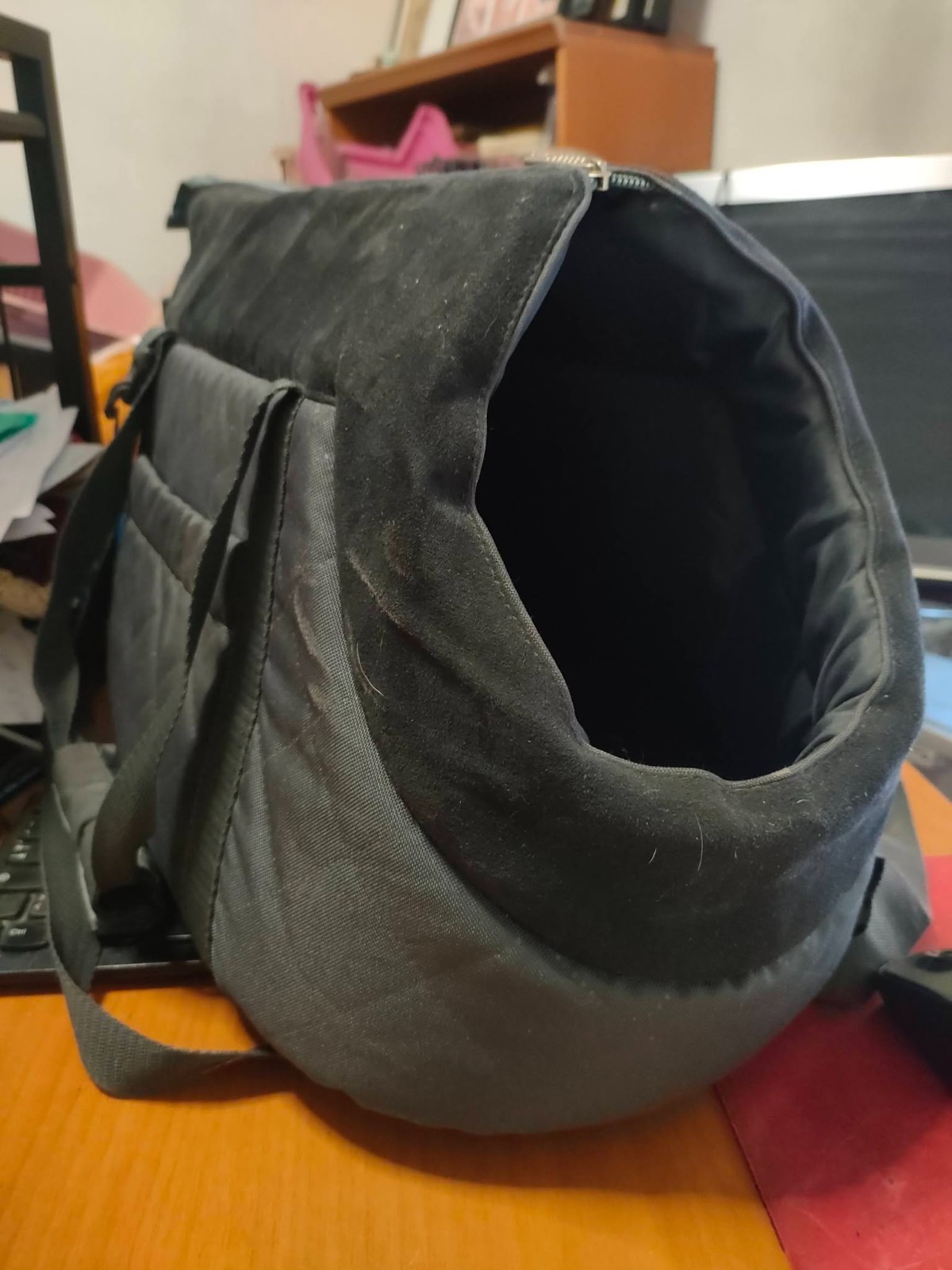 Borsa trasporto cani