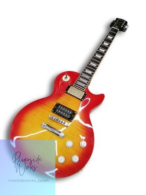 Epiphone Les Paul Standard Pro E-Gitarre
