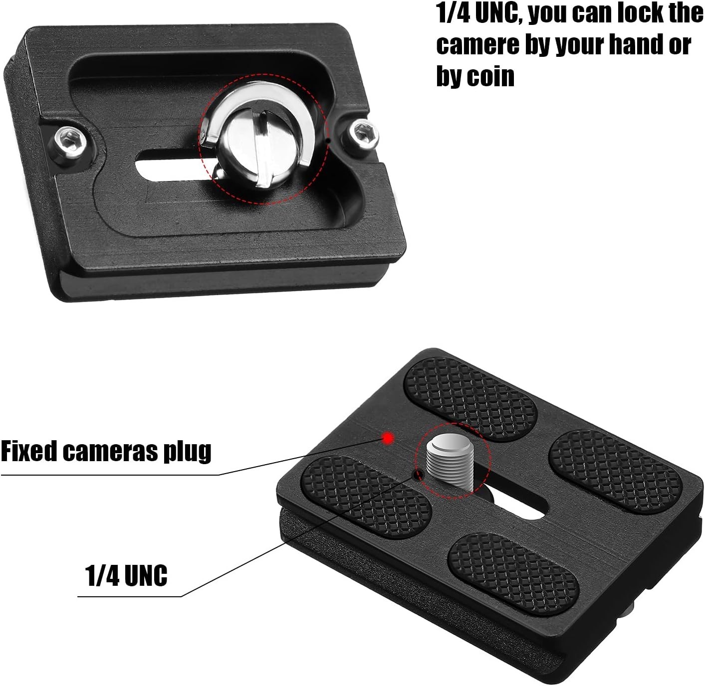 Slide 6