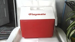 igloo 16 qt cooler tray