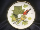 AUDUBON WORLD SONGBIRDS china dinner plate SCARLET TANAGER FRANKLIN by WEDGWOOD — photo 4