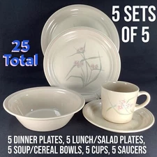 25 Corelle SPRING POND Ridged Plates Bowls Cups Saucers Service For 5 Sandstone