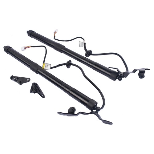 Paire jambe de force électrique pour Toyota RAV4 IV 2013-2018 2.5L 6892009010 - Foto 5 di 8