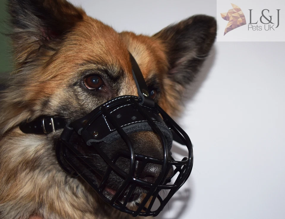 Bozal de cesta de metal de invierno | Anticongelante | Pastor alemán, labrador y similares Foto 3 de 4