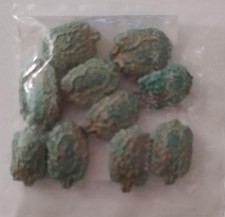 Long Bitter Gourd Karela Korola Kalara Seeds - 10 Seeds (karela/करेला के बीज)