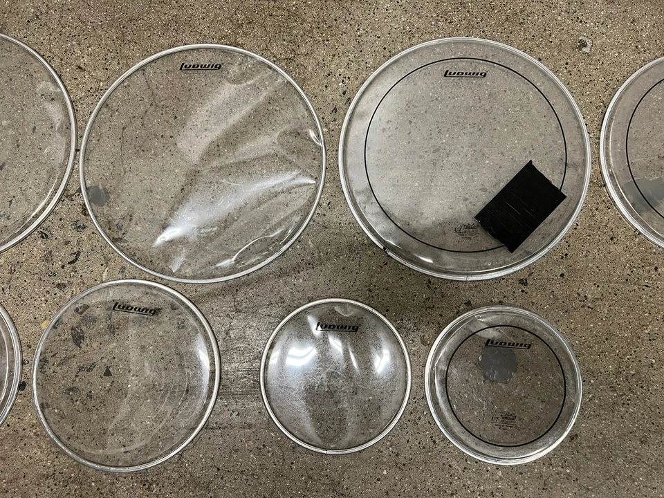 DRUM HEAD LOT LUDWIG EVANS CLEAR - Image 3 of 4