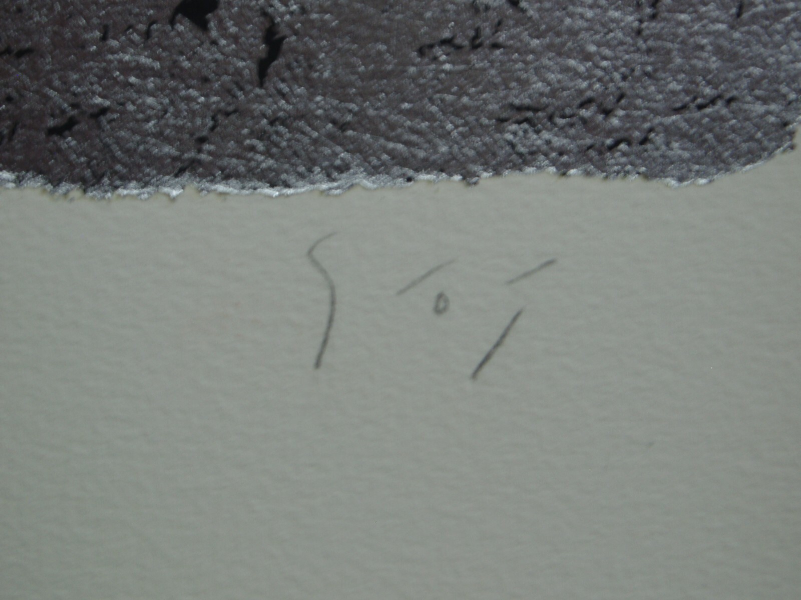 Picture 4 of 8