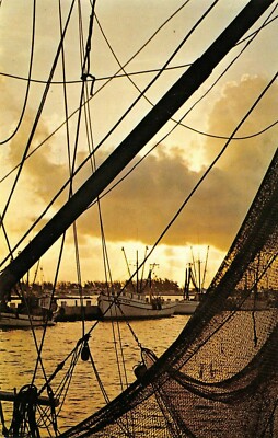 The Commercial Fishing Fleets Harbor Scene  Key West , FL Vtg 1960's Postcard 