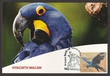 (BL) India 2016 EXOTIC BIRDS Maxi card - MAGNUM AMAZON