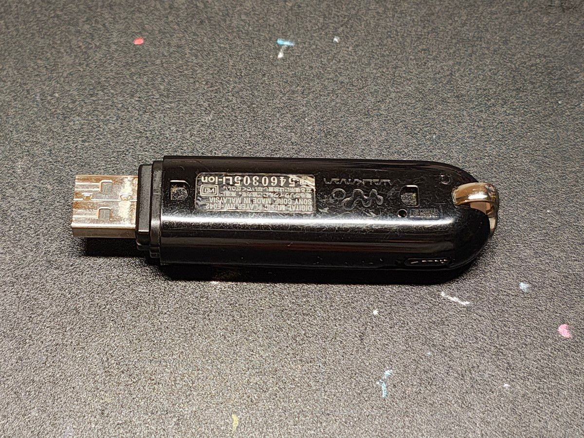 Sony NW-E042 Walkman Portable Music Player MP3 Player Gold Japan